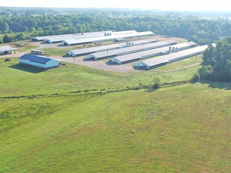 Bear Creek Broiler & Hay Farm : Phil Campbell : Marion County : Alabama