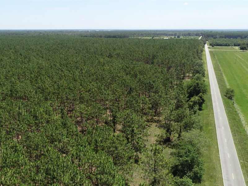 20 Acres Lee FL : Lee : Madison County : Florida