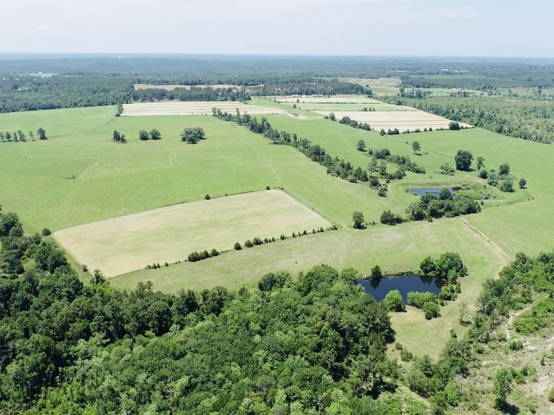Little Shoal Creek Farm, Ranch for Sale in 324770 RANCHFLIP