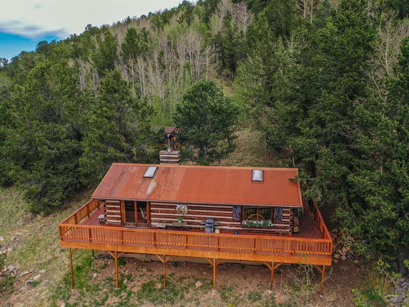 High Country Cabin Borders Blm : Cripple Creek : Teller County : Colorado