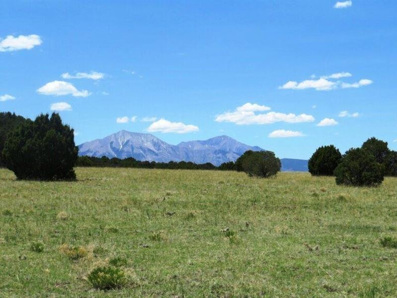 75 Silver Spurs Ranch : Walsenburg : Huerfano County : Colorado