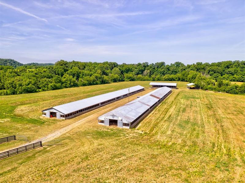 Nearly 54 Acres with Creek Frontage : Mosheim : Greene County : Tennessee