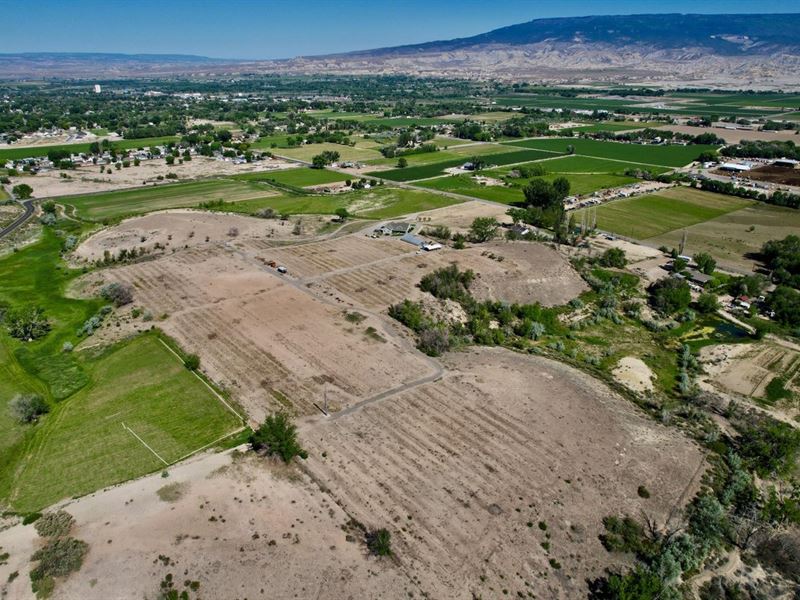 Delta Colorado Irrigated Land : Delta : Delta County : Colorado