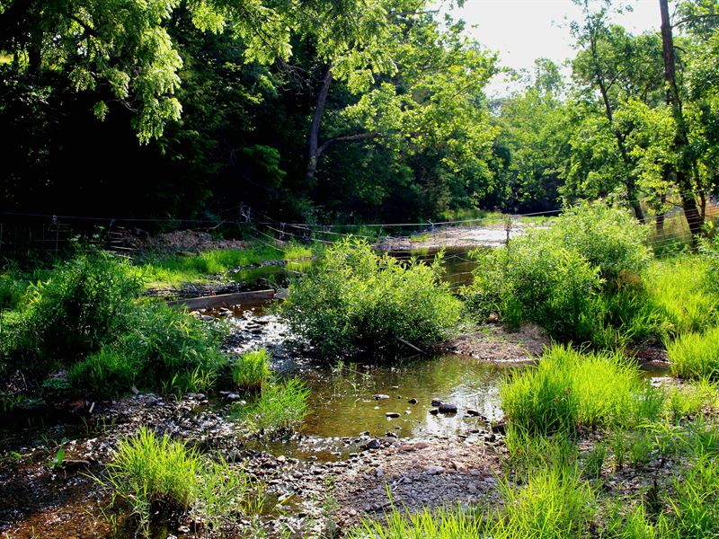 Ozark Farm with Live Water & Views : West Plains : Texas County : Missouri