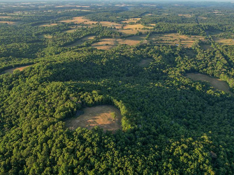 Lookout Mountain, Tract 2 : Dora : Douglas County : Missouri