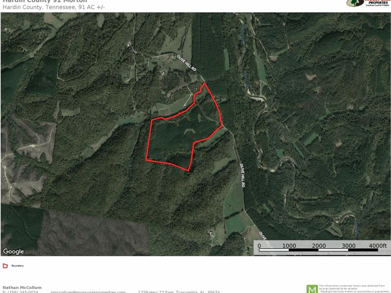Olive Hill, Tennessee Tract, Ranch for Sale in Tennessee, 325584 RANCHFLIP