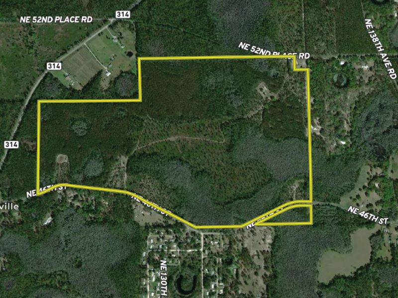 Ocklawaha Mitigation Bank : Silver Springs : Marion County : Florida
