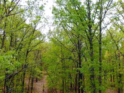Owner Financed 10 Acres : Macks Creek : Camden County : Missouri