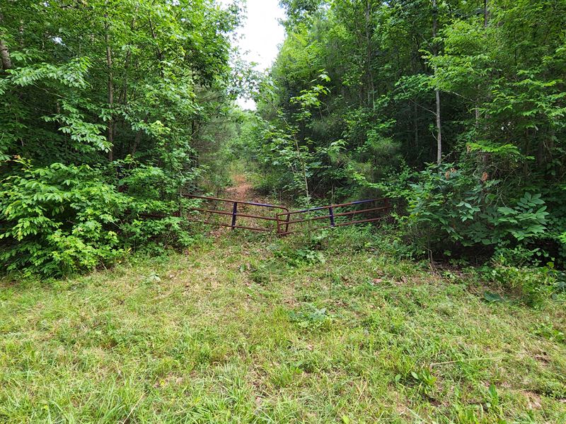 Affordable Hunting Tract : Warrenton : Warren County : North Carolina