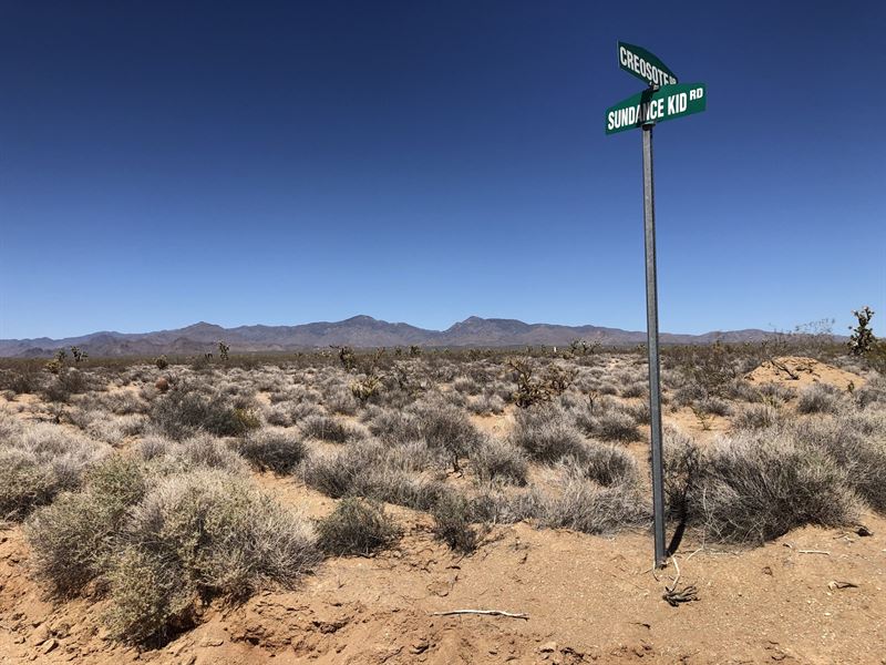 $4,900 Down Pmt, Wide Open Acres : Lake Havasu City : Mohave County : Arizona