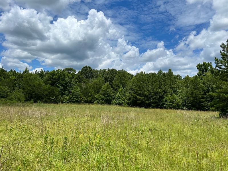 Triple J Farms, Gainesville, AL : Gainesville : Sumter County : Alabama