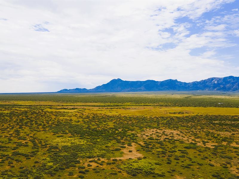 40 Acre Property in Luna County, NM, Ranch for Sale by Owner in New