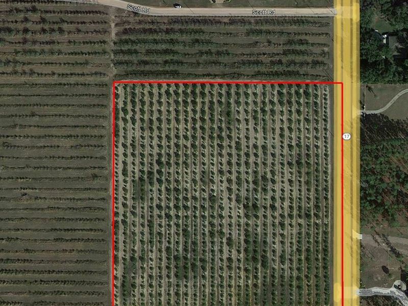 Lake Wales Development Opportunity : Lake Wales : Polk County : Florida