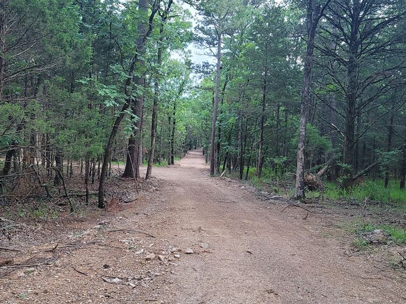 The Views By Sardis Lake : Yanush : Latimer County : Oklahoma