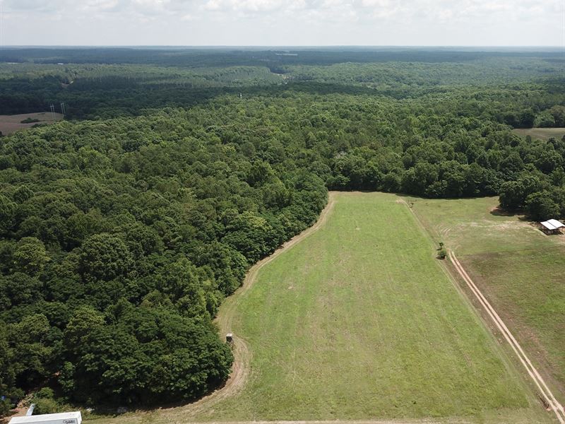 Hard Wood Oasis : Newborn : Morgan County : Georgia