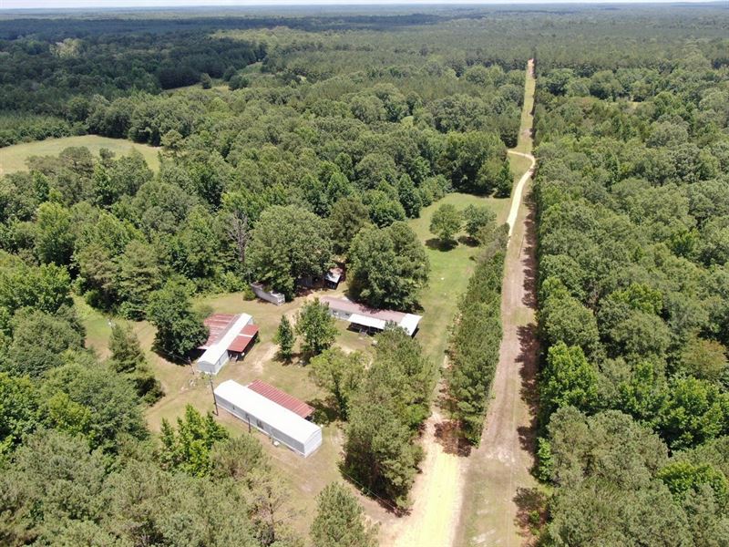 320 Acres Sumter County, AL : Gainesville : Sumter County : Alabama