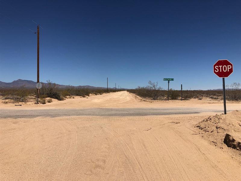 $4,900 Down Pmt, 40 Wide Open Acres : Lake Havasu City : Mohave County : Arizona
