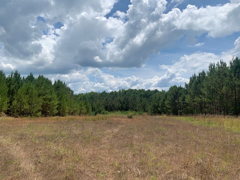 Oconee Tract : Greensboro : Greene County : Georgia