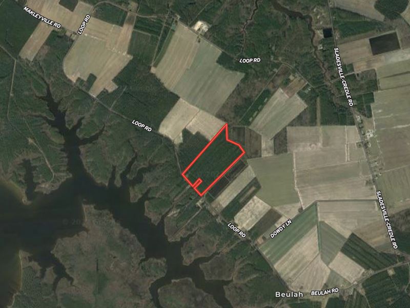 Great Hunting / Timber Tract : Scranton : Hyde County : North Carolina