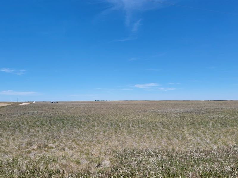 Kimball County Crp Grasslands : Kimball : Kimball County : Nebraska