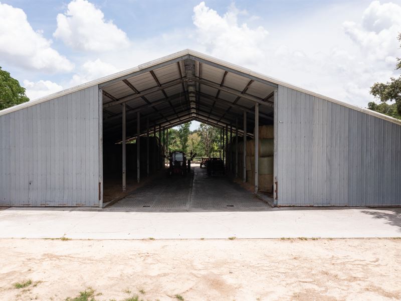 Gorgeous Hay / Cattle Farm : McAlpin : Suwannee County : Florida