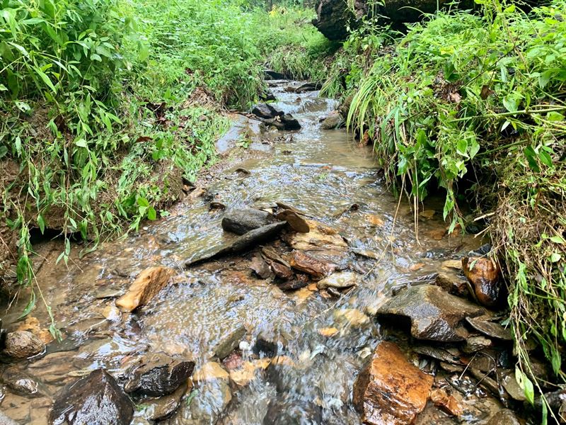 46.59 Acres Talking Rock, GA : Talking Rock : Gilmer County : Georgia
