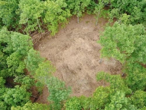 Owner Financed Land in The Ozarks : Viola : Fulton County : Arkansas