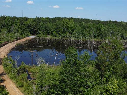 Rowland Tract : Lumberton : Robeson County : North Carolina