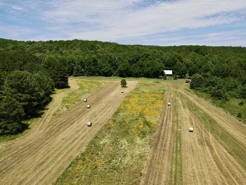 Sutton Creek Ranch : Romance : White County : Arkansas