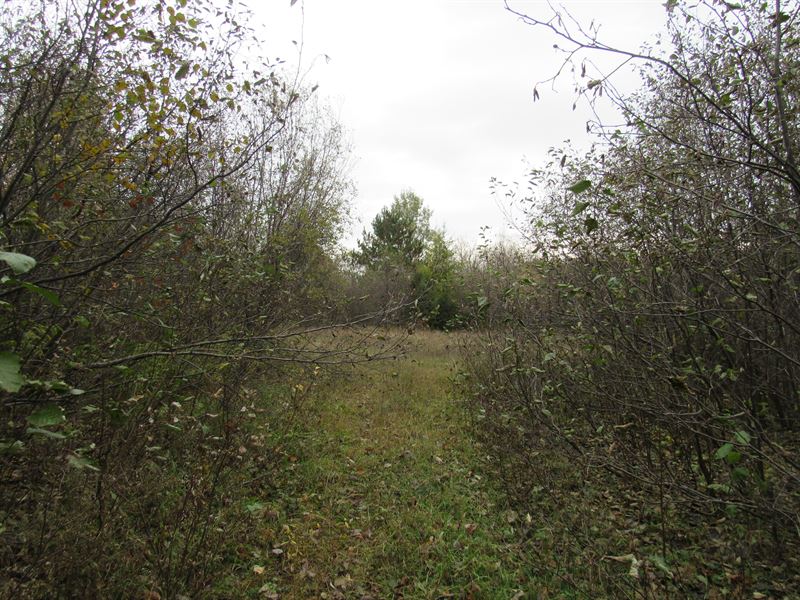 Dunham Rd : Marenisco : Gogebic County : Michigan