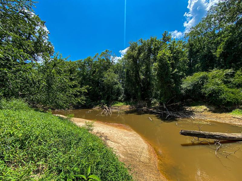 Big Black River, 93 Acres Montgome : Kilmichael : Montgomery County : Mississippi
