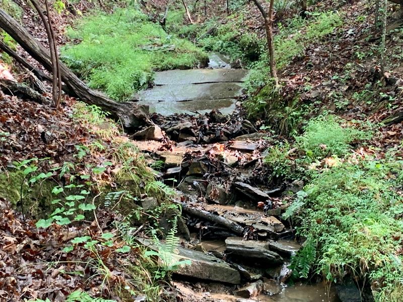 25.51 Ac Tract 2 Talking Rock : Talking Rock : Gilmer County : Georgia