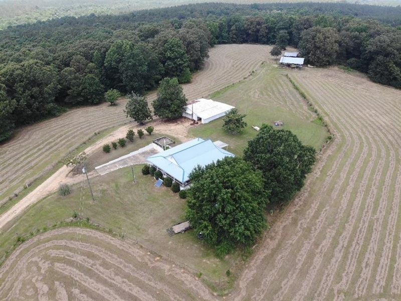 The Farm House : Reform : Pickens County : Alabama