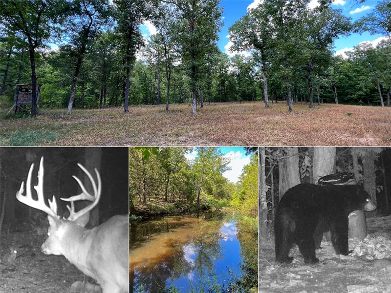 Off Grid Mountain with Great Access : Yanush : Latimer County : Oklahoma