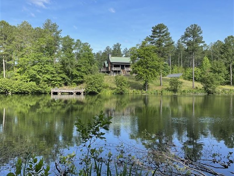Seven Generations Farm : Carlton : Madison County : Georgia