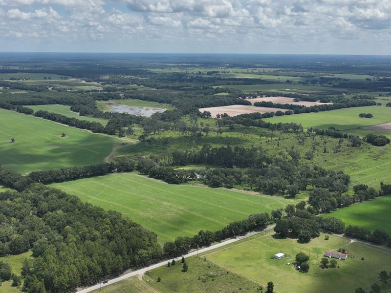 Shady Hammock Estates : Morriston : Levy County : Florida