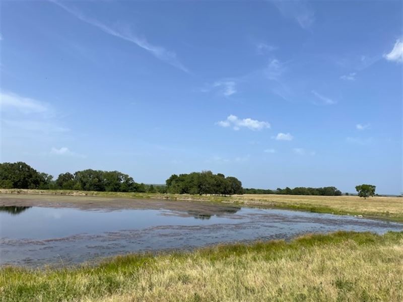 Lolley Ranch : Richards : Grimes County : Texas