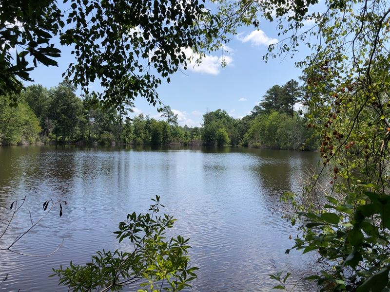 4.5 Acre Pond & Timber Land : Sparta : Hancock County : Georgia
