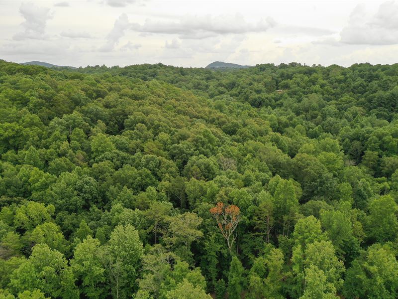 Piper Tract 3 : Pickens : Pickens County : South Carolina