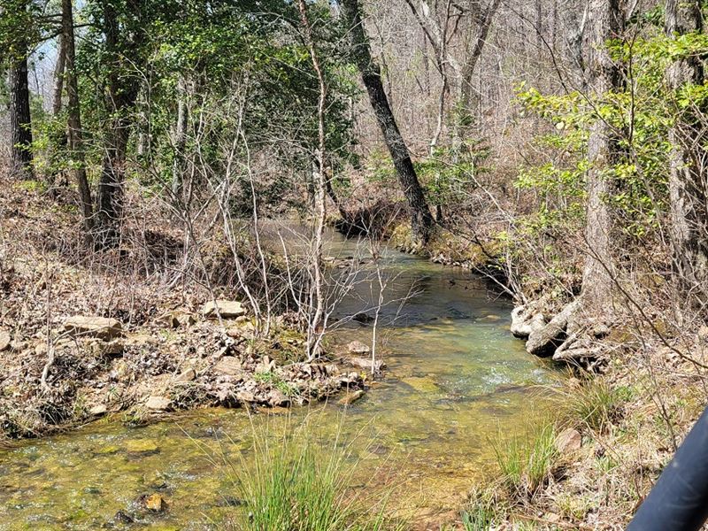 Recreational Land : Albion : Pushmataha County : Oklahoma