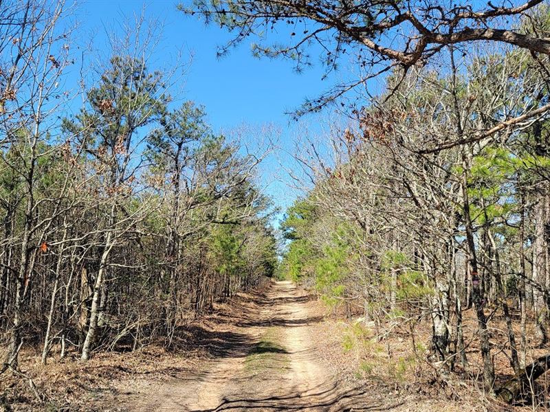 Recreational Land On K-Trail : Albion : Pushmataha County : Oklahoma