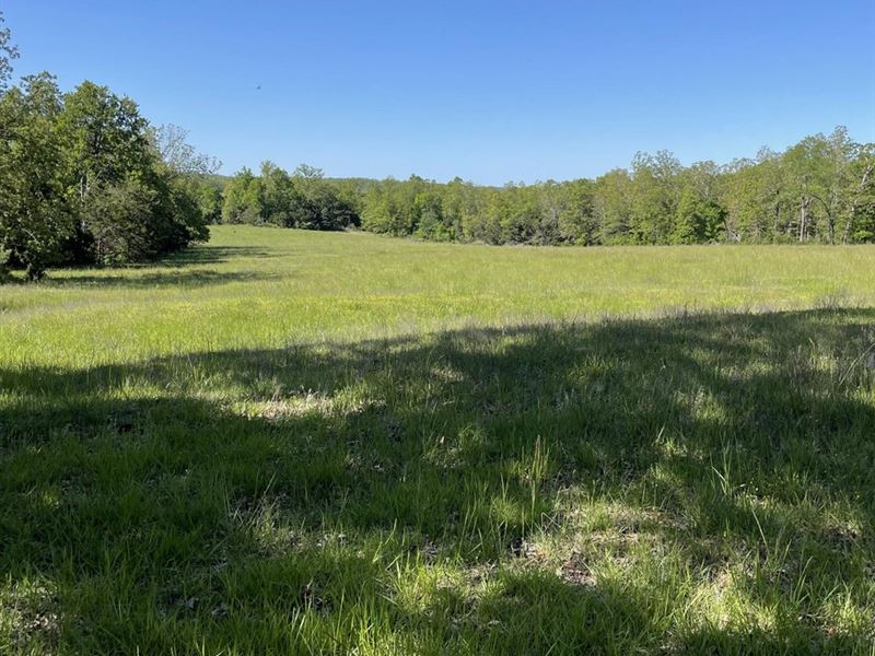 60 Acres, Pasture, Barn, Hwy 34 : Oxford : Izard County : Arkansas