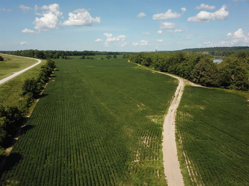 Fowler Plantation, Tract A, 430 ac : Vicksburg : Warren County : Mississippi