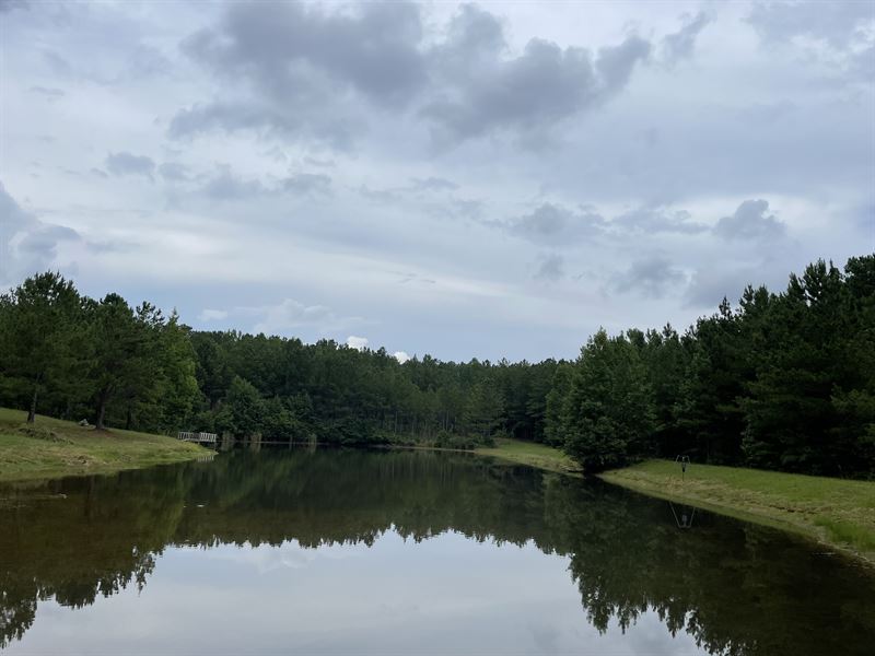 Great Hunting Tract with Pond : Forsyth : Monroe County : Georgia