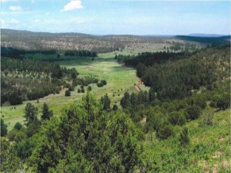 The Lazy Dollar Ranch : Weed : Otero County : New Mexico