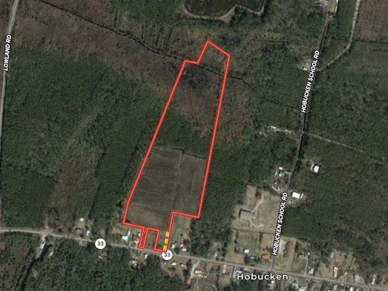 Reduced, 28.6 Acres of Duck Huntin Ranch for Sale in Hobucken