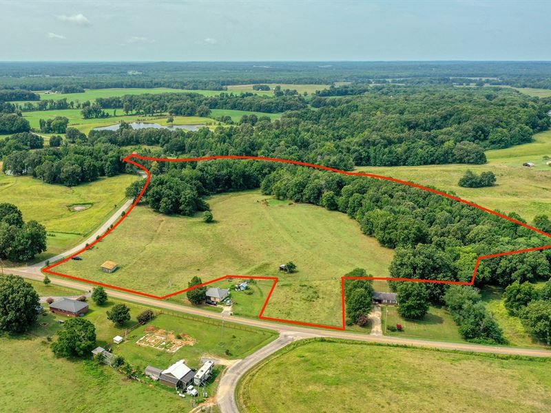 Pasture Land : McKenzie : Carroll County : Tennessee