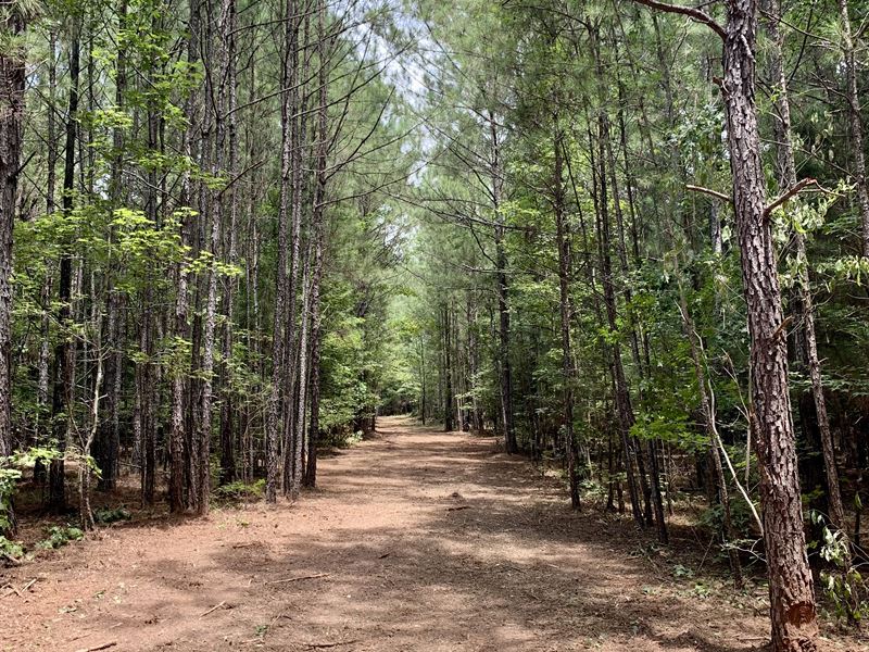 Cofer Road Tract : Washington : Wilkes County : Georgia
