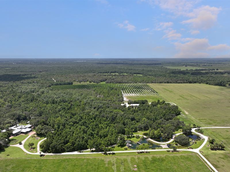 Long River Ranch : Arcadia : DeSoto County : Florida