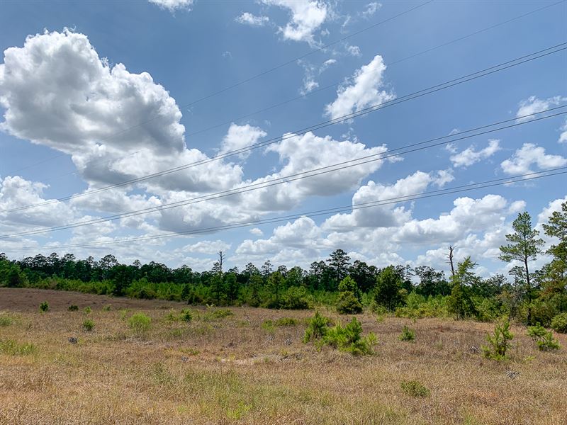 251 Acres, Walker North : Huntsville : Walker County : Texas